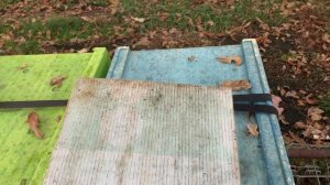 Результат постановки полосок Экопласт через 7 дней в самых заклещеванных семьях