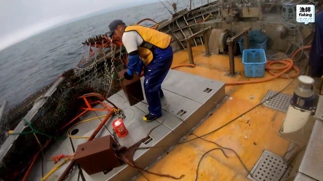【最大級タコに異変】オホーツク海タコ箱漁。　~Octopus fishing~ смотреть онлайн
