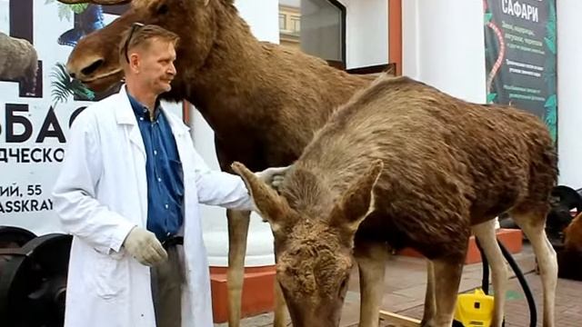 20190724-Акция 'Меха и перья' смотреть онлайн