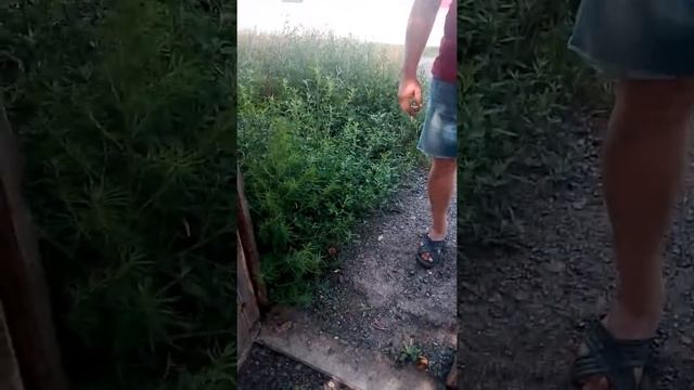 20190717 заявление в полицию на соседа Бурова о клевете №3706 смотреть онлайн