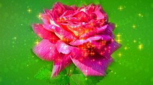 Футаж. Цветочный фон 84