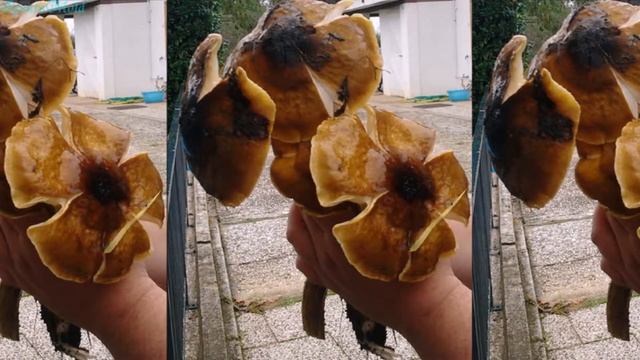 ТИХАЯ ОХОТА . смотреть онлайн