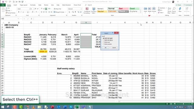 Excel in Hindi- Insert and Delete Rows and Columns #SkrLearningPoint смотреть онлайн