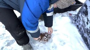 Ловля крабов на Сахалине (крабалка). Наш первый опыт