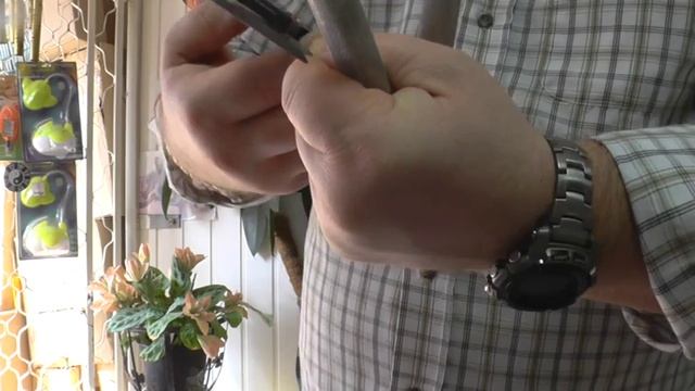 Самый тяжёлый СоС№2,5-Питон 109кг смотреть онлайн