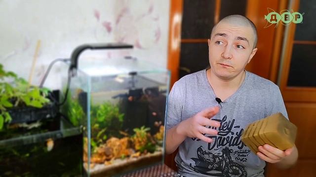 Как ПРАВИЛЬНО мыть ГУБКУ для ФИЛЬТРА! смотреть онлайн