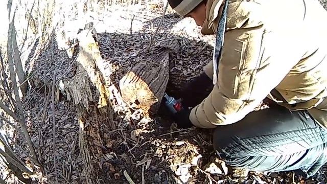 Где можно найти ЗОЛОТЫЕ ЧЕРВОНЦЫ. (СМОТРЕТЬ ТЕМ У КОГО ЕСТЬ МЕТАЛЛОИСКАТЕЛЬ) смотреть онлайн