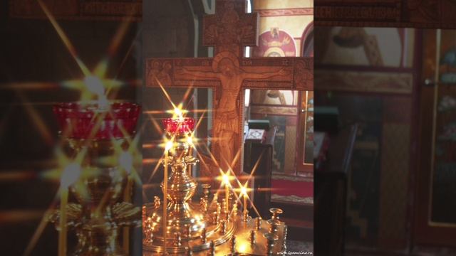 Video.Guru_20230228_020621664.mp4