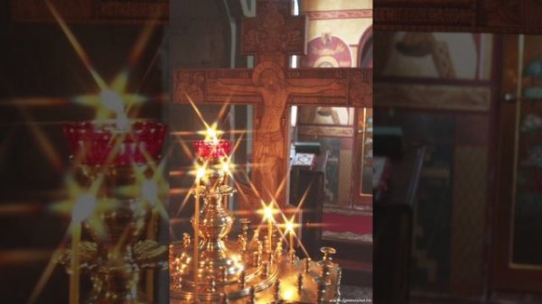 Video.Guru_20230228_020621664.mp4