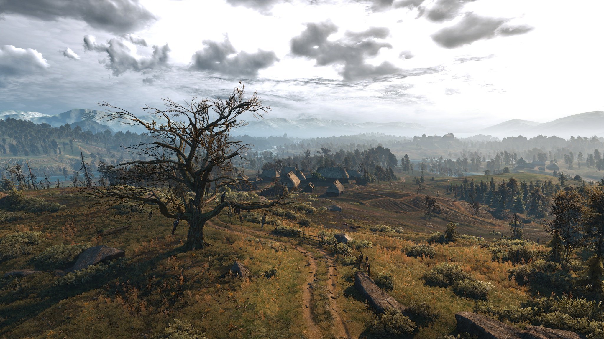 # ПРОГУЛКА ПО ВЕЛЕНУ ► [The Witcher 3 Wild Hunt] # 8 смотреть онлайн