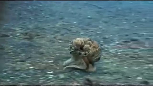 Fuck Planet Earth смотреть онлайн