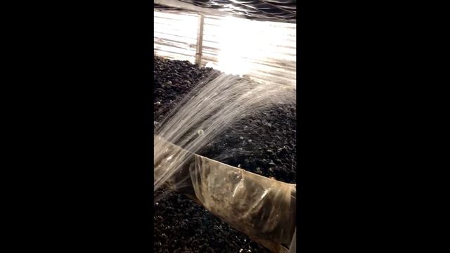 Выращивание Шампиньонов. Выезд на ферму во Владимир смотреть онлайн