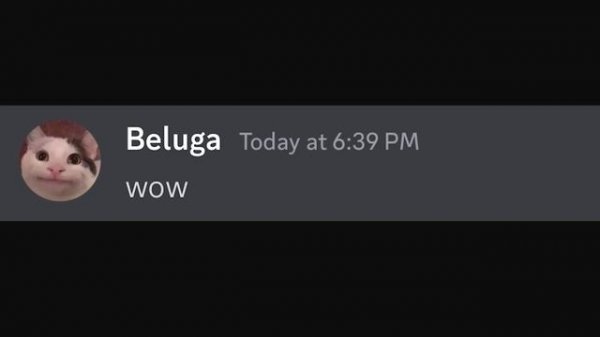 What does "IDK" mean?