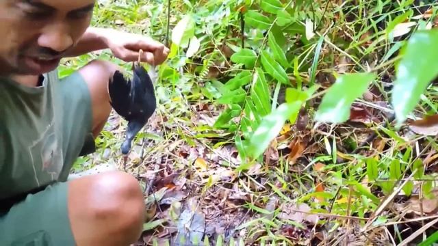 diguyur hujan deras siang sampai malam disertai petir_tidur nyenyak dishelter atas danau_ASMR смотреть онлайн