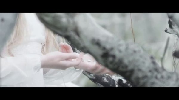 The Kin Fables Trilogy