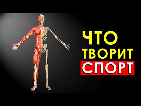 Что будет, если заниматься Спортом Каждый День