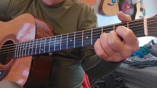 Hohner  Hw220
