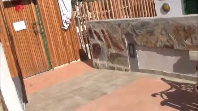 Puerto Rico 2014. смотреть онлайн