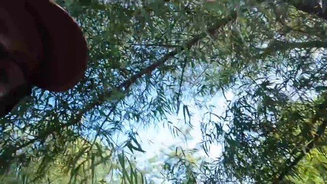 Garrett Z-Lynk MS-3 Wireless headphones (Are they worth it?)