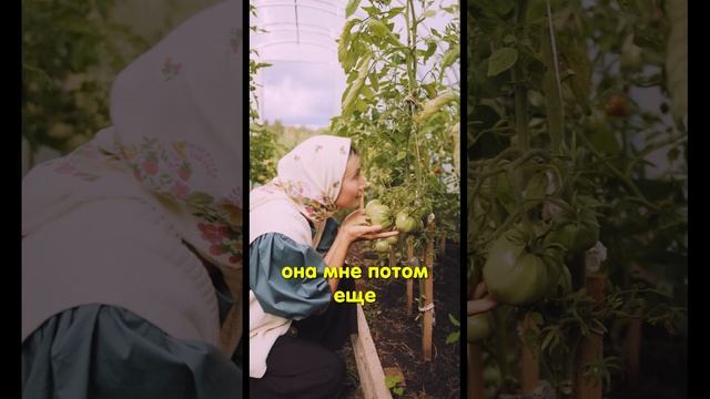 Кристаллические Моменты