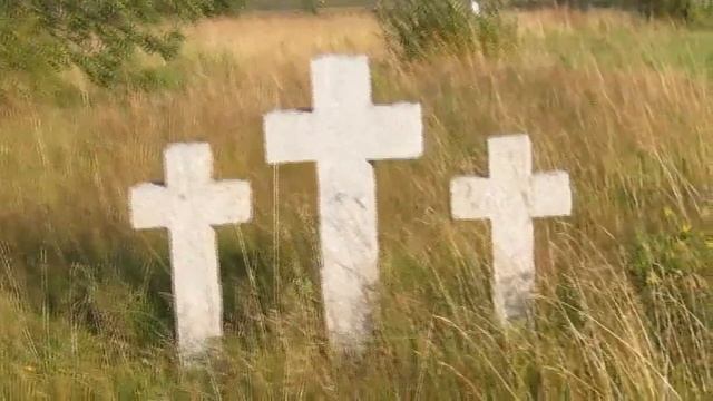 Почему же эти птицы на север летят? смотреть онлайн