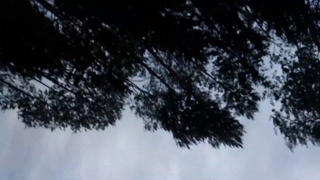 Sx4 на бездорожье