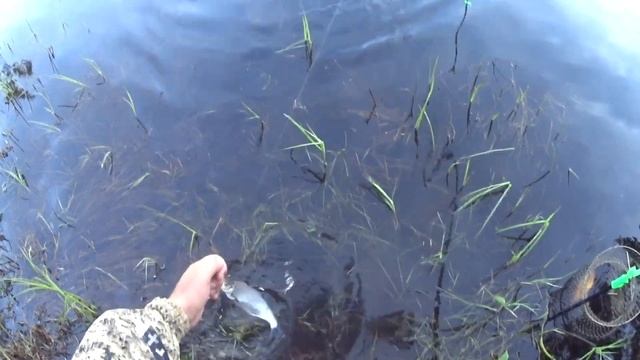 РЫБАЛКА НА ЧЕРНОМ ОЗЕРЕ С УТРА смотреть онлайн