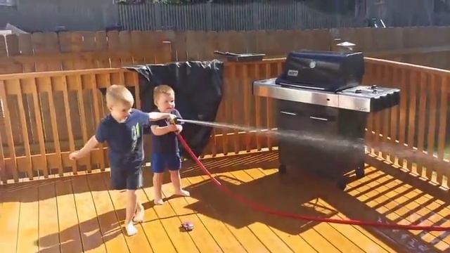 Boys watered the dog. Мальчики поливают овчарку из шланга. смотреть онлайн