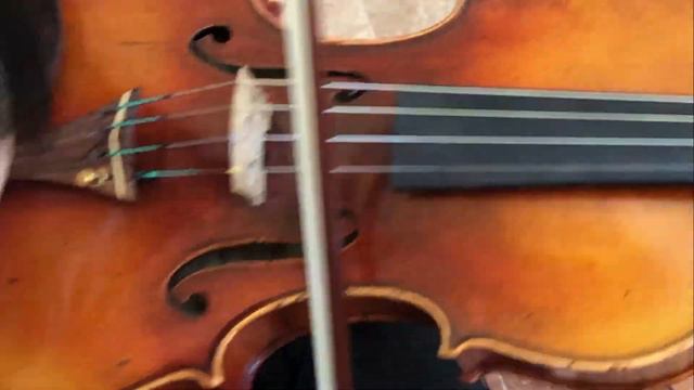 Ifstrings Private Stock VSA #143 Guarneri del Gesu 1743 "Cannone" Exact смотреть онлайн