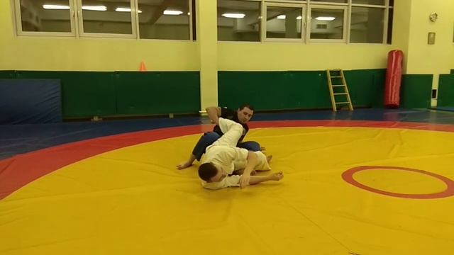 9ролик2019 Профайт микс джитсу, экзаменационные требования