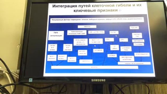 4 часть. Последняя. Апоптоз, некроз и тп. смотреть онлайн