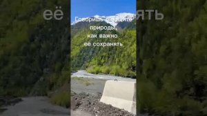 #savenature #disel #turbo