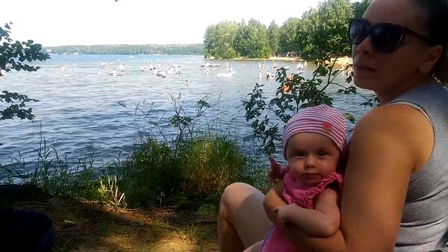 Купаты с Прованскими травами на Увильдах смотреть онлайн