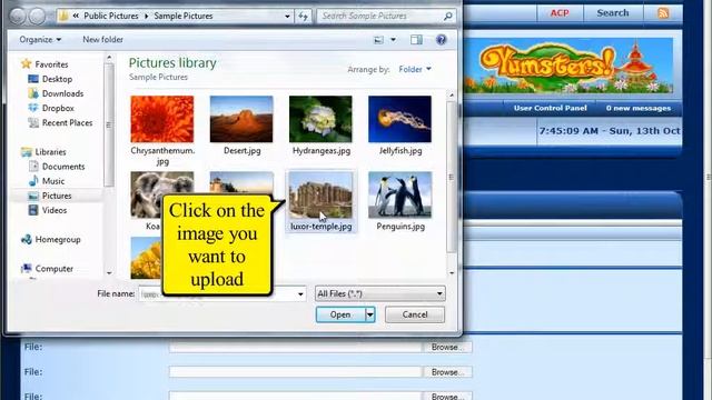 Forum Tutorials: How to upload images to the forum gallery смотреть онлайн