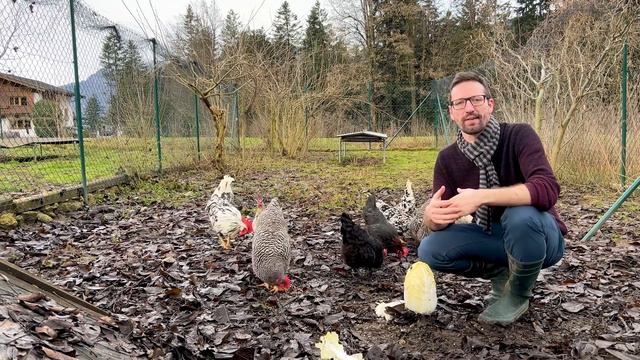 Von Altsteirer-Huhn bis Eierproduktion mit alten Hühnerrassen - Highlights 2022, bei HAPPY HUHN E28 смотреть онлайн