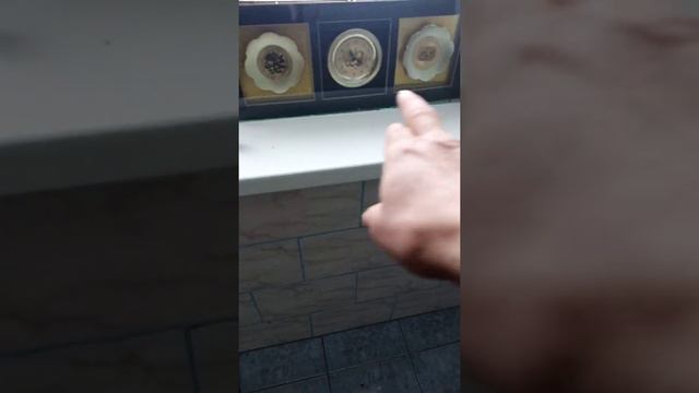 МАСЧИДЕ ДАР 1198 КМ . (навори 44) .рохи.        Москва-Челябинск .