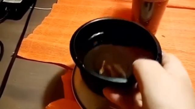 *Как вырастить финик в домашних условиях!!!* Часть 1 смотреть онлайн