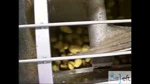 Ножевой пиллер для очистки картофеля FTNON B.V.