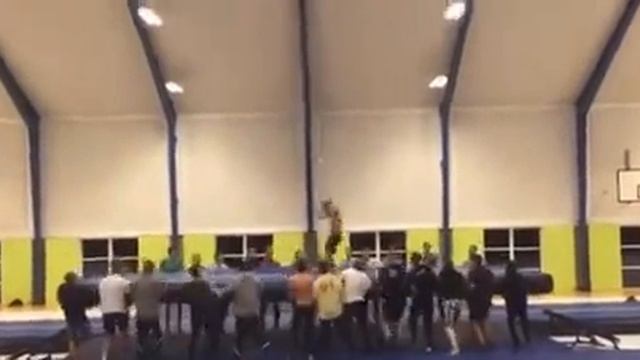 Подборка любимых видео