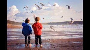 Мир на планете