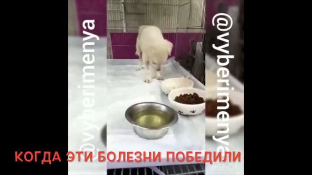 История спасения малыша Билли смотреть онлайн