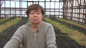 КАК ВЫРАСТИТЬ РЕПЧАТЫЙ ЛУК ИЗ СЕМЯН. От посева на рассаду до сбора урожая