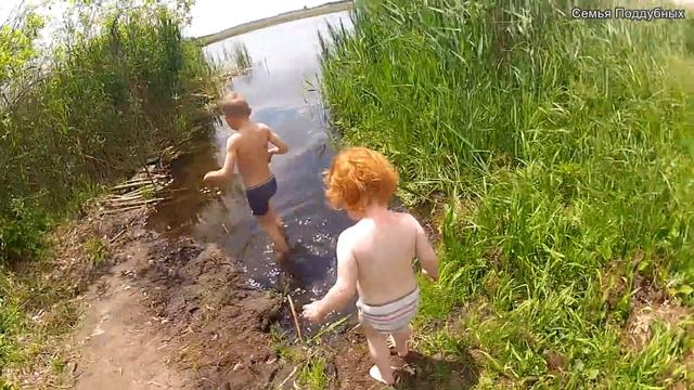 Пошли Белые Грибы и поспела Черника Сбор грибов и сбор ягод смотреть онлайн