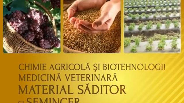 ME Agro NEW MD смотреть онлайн