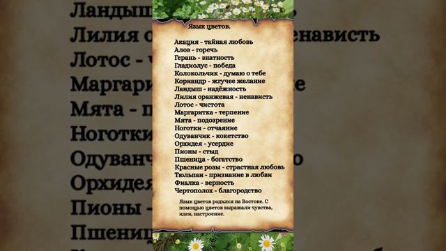 А Вы знали это? Язык цветов. смотреть онлайн