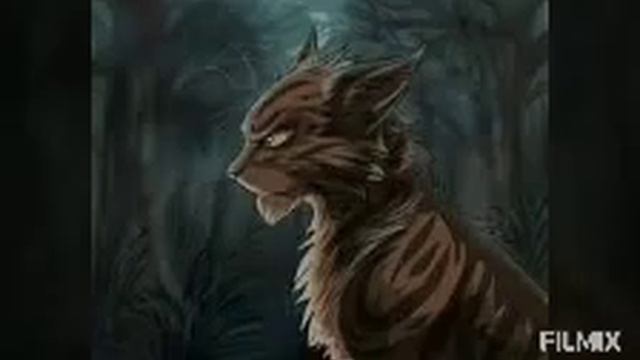 Клип коты Воители звездоцап monster смотреть онлайн