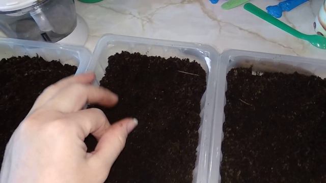 Обзор питательного грунта. Что буду сажать смотреть онлайн