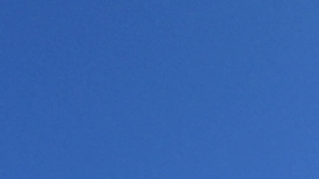 #Pigeons.Важная информация по медному купаросу. смотреть онлайн