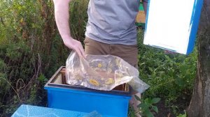 Чем красить ПЕНОУЛИК лучшая краска для Пеноулика How to paint a beehive the best paint for a beehiv