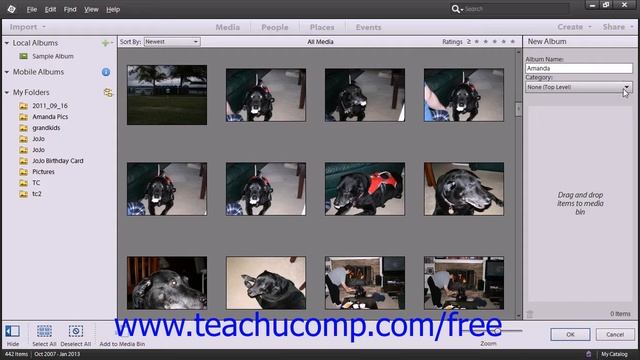 Photoshop Elements 12 Tutorial Creating Albums/Collections Adobe Training Lesson 2.6 смотреть онлайн
